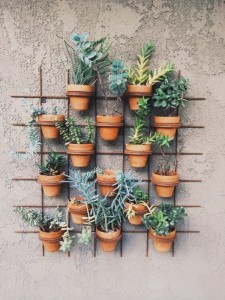 Potted Wall