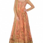 Anarkali double layer