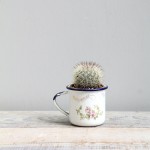Cactus Teacup
