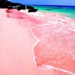 Pink Sand Beach,Bahamas