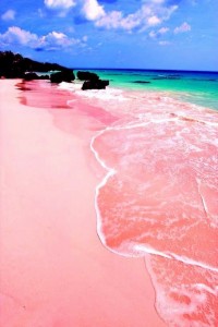 Pink Sand Beach,Bahamas