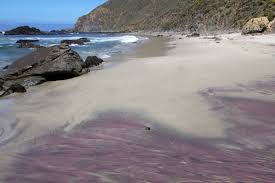 Purple sand beach, California