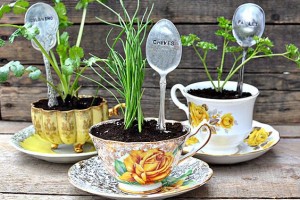 Tea pot garden