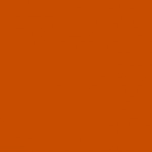 Burnt orange color trend 2016 winter