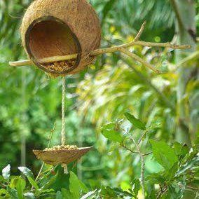 Coconut shell bird feeder