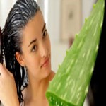 Aloe vera for hair