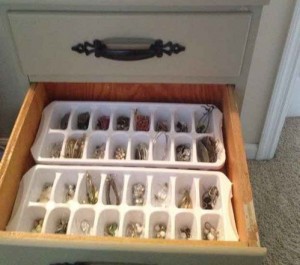 Ice tray for jewellery storage