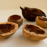 Walnut shells for hair color