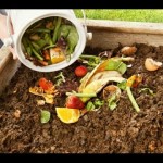 Creating Kitchen compost