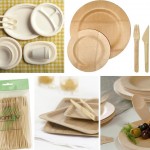 Replace plastic cutlery with Bamboo cutlery