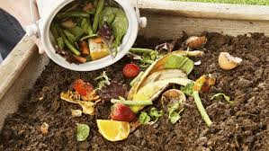 zero waste kitchen compost with vegetable peels