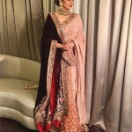 How to take a shawl with a saree