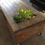 Nature Inspired Furniture With Live Plants