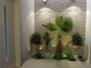 Room entrance ideas with plants