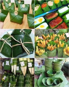 banana plant