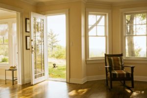 Tips to purify indoor air