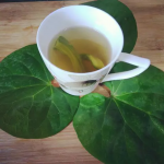 Giloy waater immunity booster drink tea