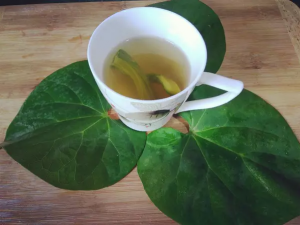 Giloy water immunity booster drink tea