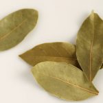 7 Benefits Of Burning Bay Leaves For Good Health And For Clearing Out Negative Energies