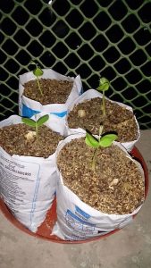Reuse Milk packets