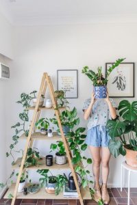Use hanging pots for growing plants indoor