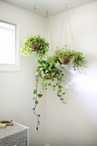 Use hanging pots for growing plants indoor