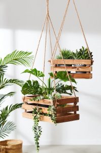 Use wooden pallet for growing plants indoor