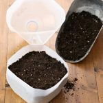 Use milk packets to grow plants