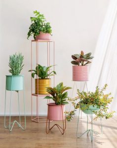 Plants pots for indoor plants and home decor