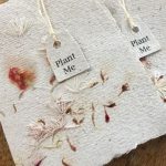 Different Ways To Gift Seeds To Your Loved Ones- Gift Handmade Seed bombs As Favors