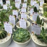 Plants as wedding favors-Threads-WeRIndia