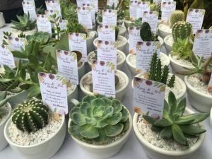 Plants as wedding favors-Threads-WeRIndia