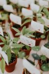 7 Plant Favors For Your Wedding Which Will Be Loved By Everyone!