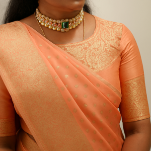 saree blouse deigns with brocade borders-Threads-WeRIndia