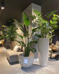 3 Ways To Prepare An Appealing Cluster Of Plants