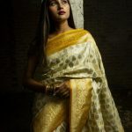 Indian Banarasi Sarees