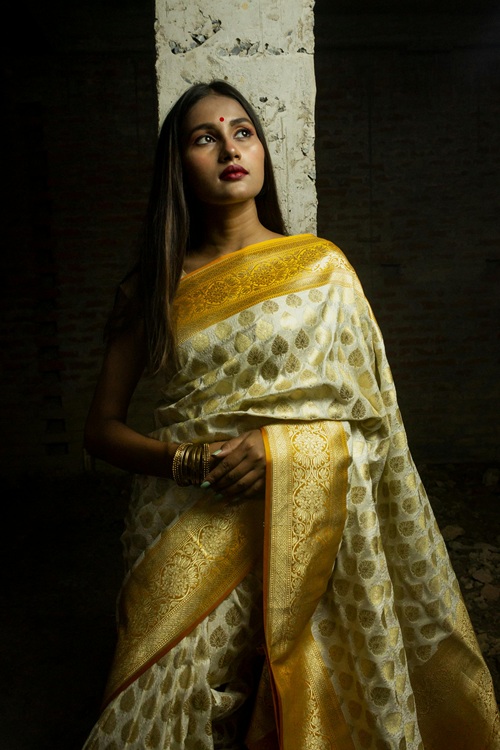 Indian Banarasi Sarees