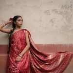 Saree Draping Style